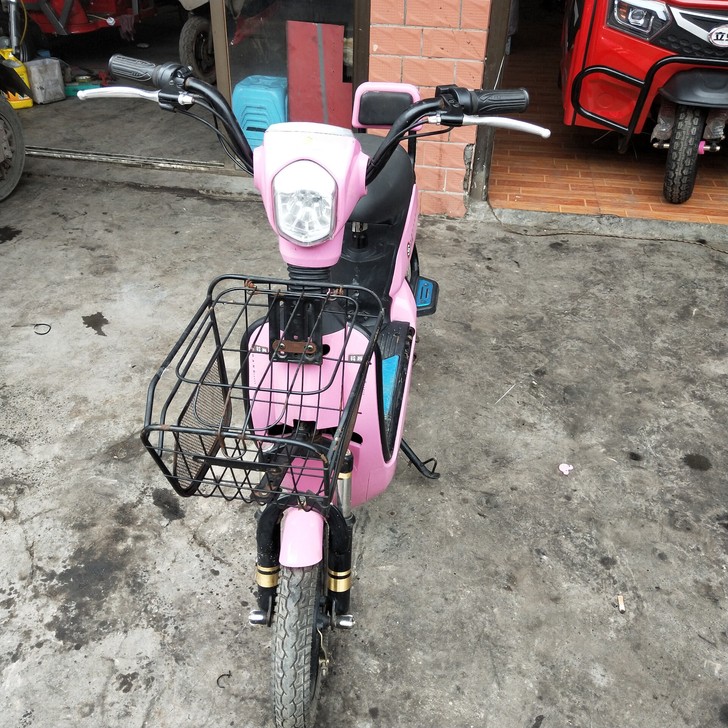 出一辆电动自行车成色如图，不议价，还价勿扰