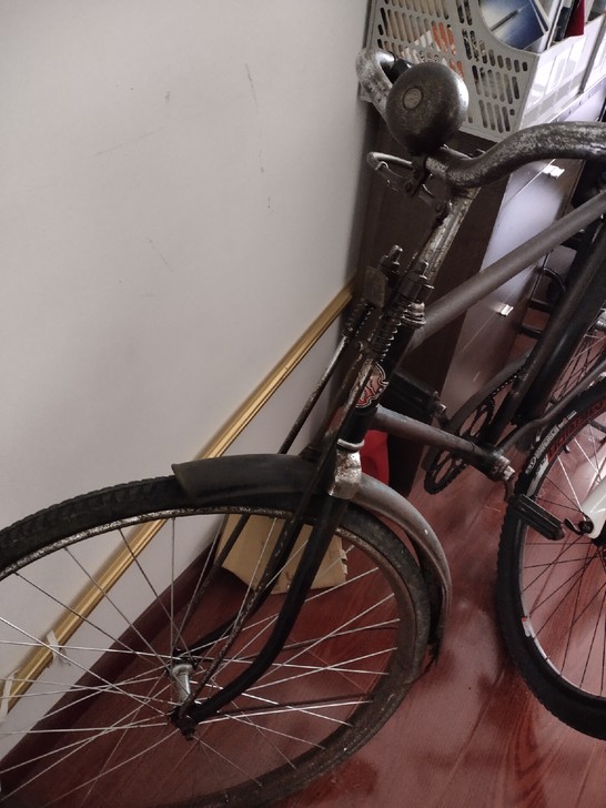 大金鹿自行车多辆