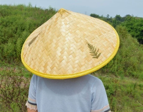 2个装斗笠竹编防雨防晒草帽遮阳竹编斗笠帽 ...