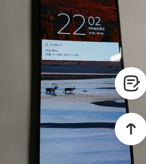 索尼Xperia 1ll，国行黑色马克兔，...