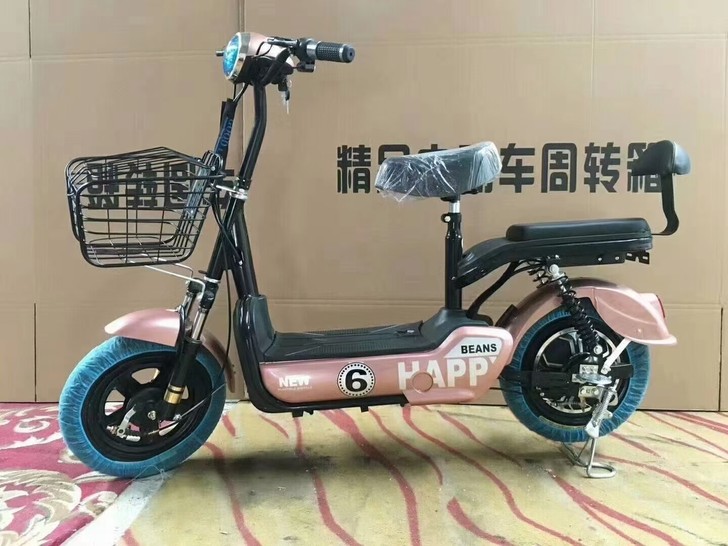 飞鸽电车带天能电瓶带充电器需要了咨询