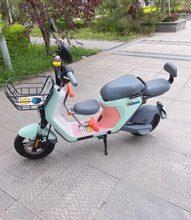 小米九号电动车 新国标 仅支持安徽池州地区...