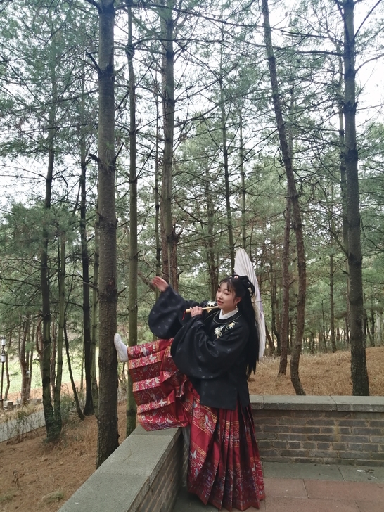 七月夕 九定 明制马面裙150，也出上袄，...