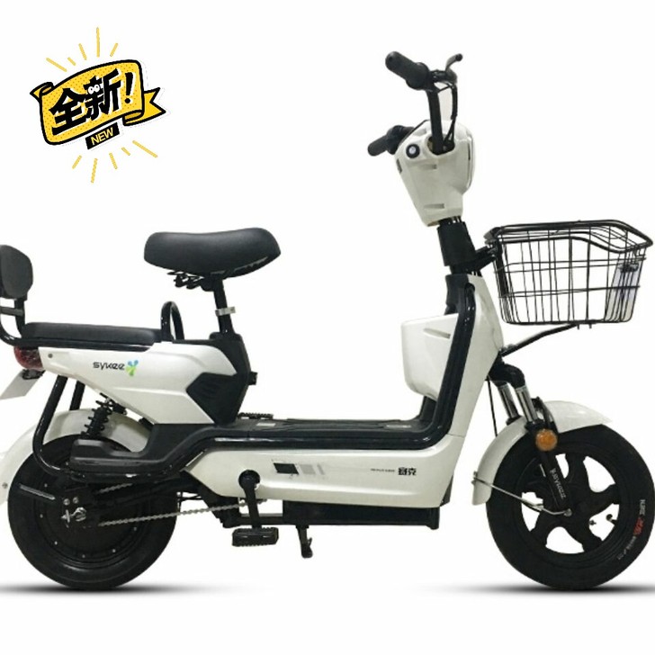 全新赛克电动车批发850元不带电池充电器。...