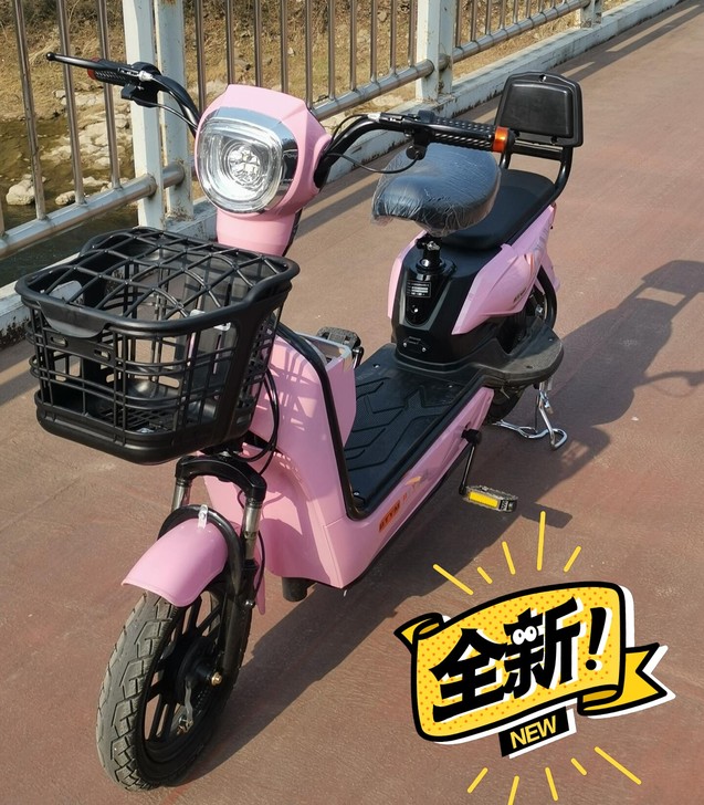 思帝诺新国标48V新款电动车电动自行车小全...