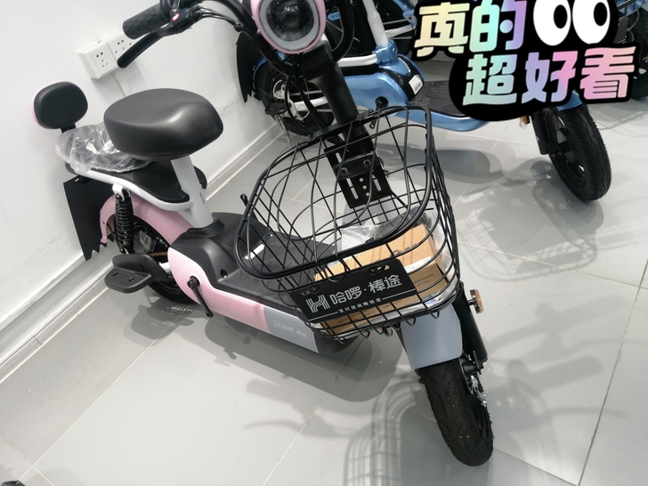 8月开学季,哈罗来助力