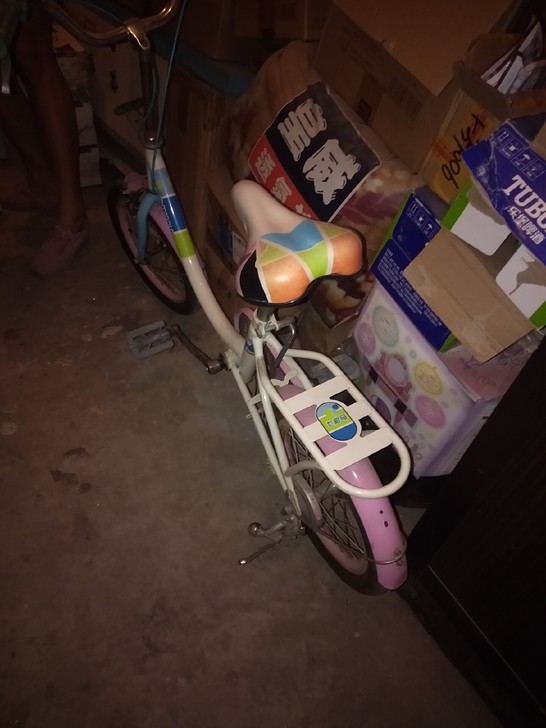 大童自行车,两轮