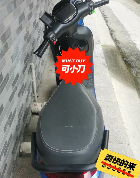 出九号E100 单电 今年购买 因为...