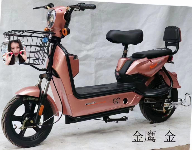 国标车    48V12A    差满电可...