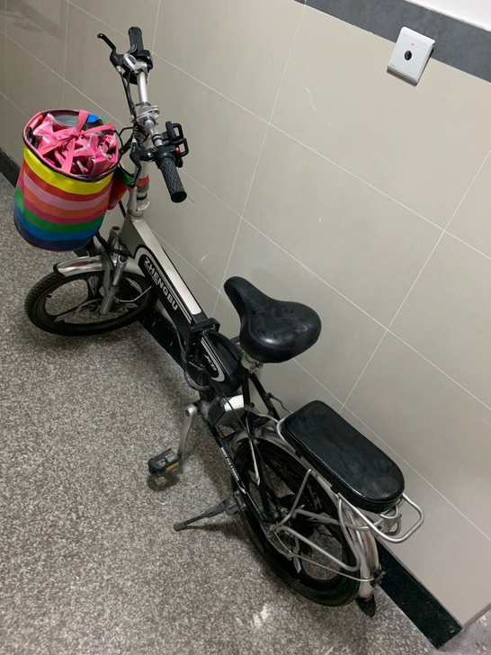 ZB/正步 电动自行车