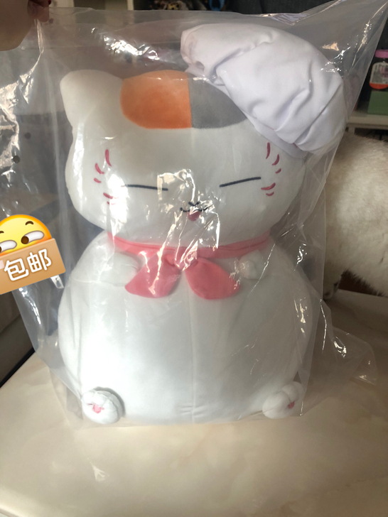 猫老师抱枕 一番赏 A赏