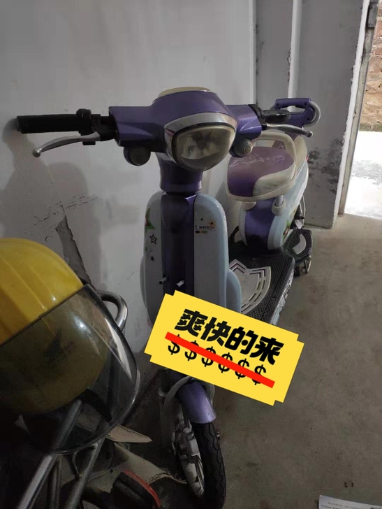 自用电动车，功能全正常，正常使用中，纯电4...
