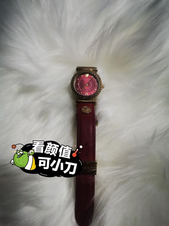 正品Versace/范思哲mini手表女石...