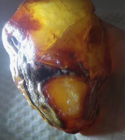 奇石玉腊肉冻原石,油润透光,尺量11厘米8...