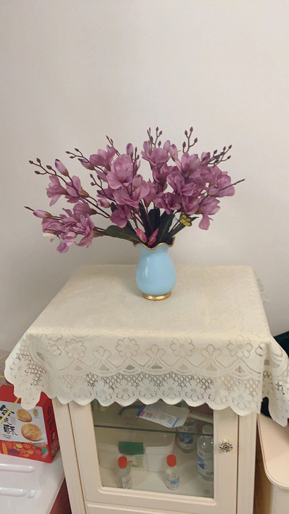 万能蕾丝盖布 冰箱 微波炉 电视机 沙发茶...