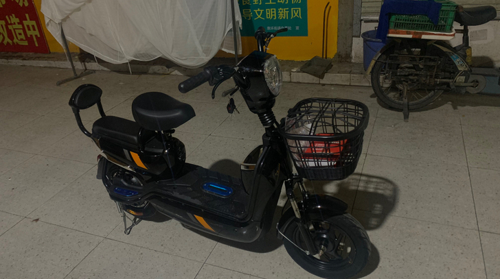 雅迪同款 新日电动车 48V