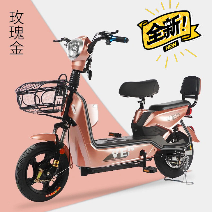 全新48V新款电动车电动自行车，超威/天能...