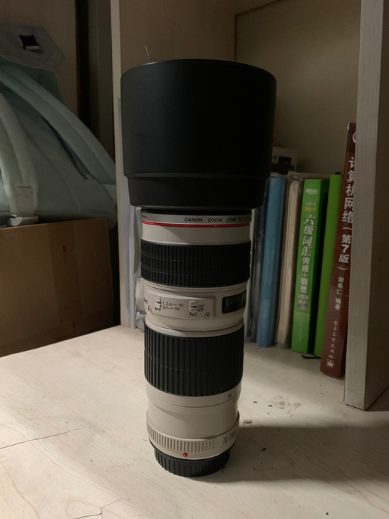 小小白EF70-200长焦镜头，不带防抖。...