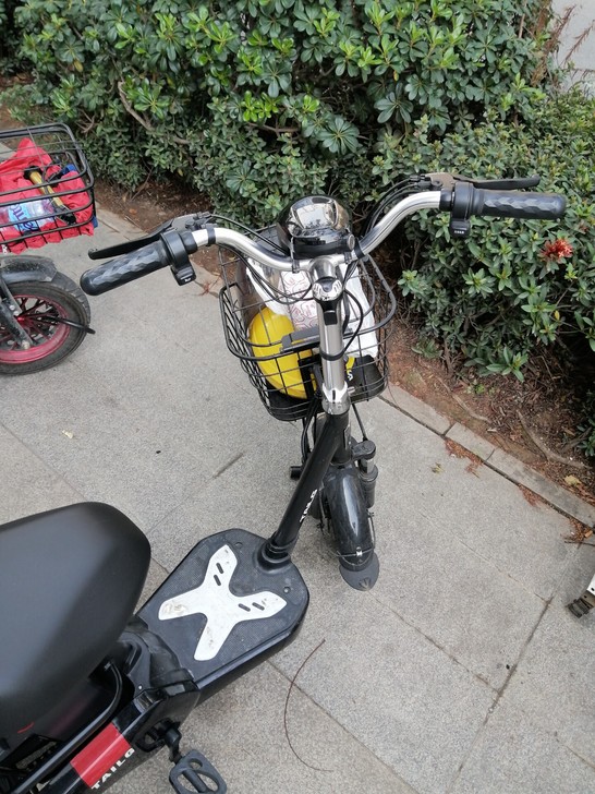 去年九月份买的，有发票收据，台铃牌，因工作...