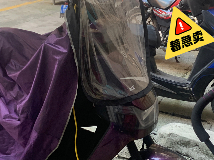 台铃电动车 狮子 紫色渐变外观 阳光照射会...