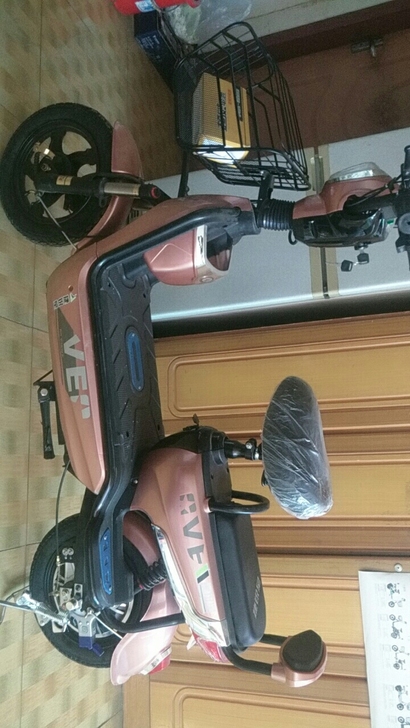 出售全新电动车999元