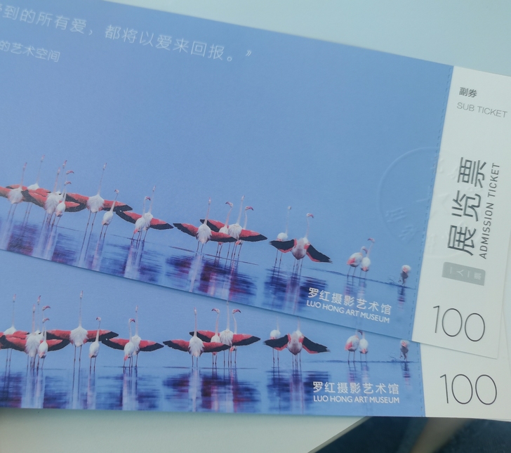 罗红摄影艺术展展览票！80两张包邮