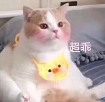 东昌路，世纪大道附近的小区