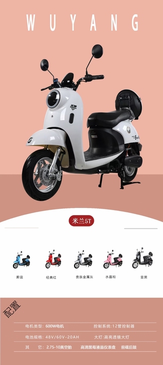 全新 五羊电动车，颜色可选，现货秒发