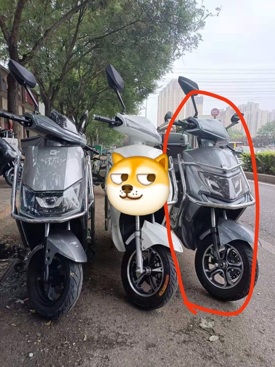 求购二手电动车二手电瓶车，能上白牌