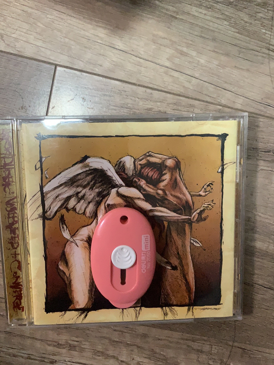 特价 碾核Agoraphobic Nose...