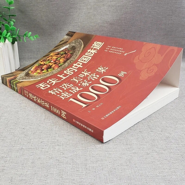 舌尖上的中国味道精选美味速成家常菜1000例