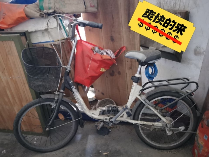 菲利普自行车