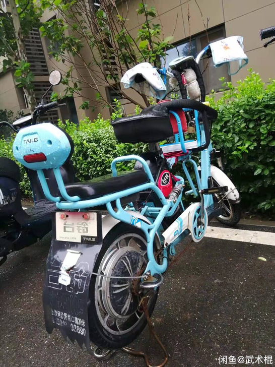 台铃牌电动车，锂电池，电池可提出充电，19...