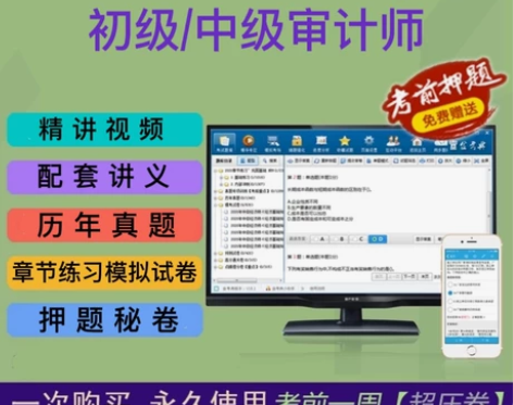 中级审计师/初级审计师网课视频课件配套讲义...