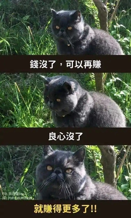 炉石传说，接低保（只玩黑眼术，其他套牌看情...
