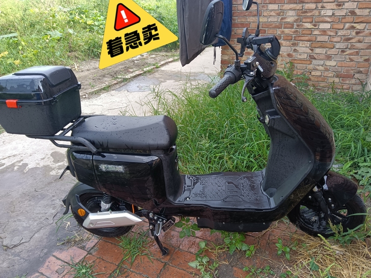 台铃电动车买了有3个月，没怎么骑。白牌子，...