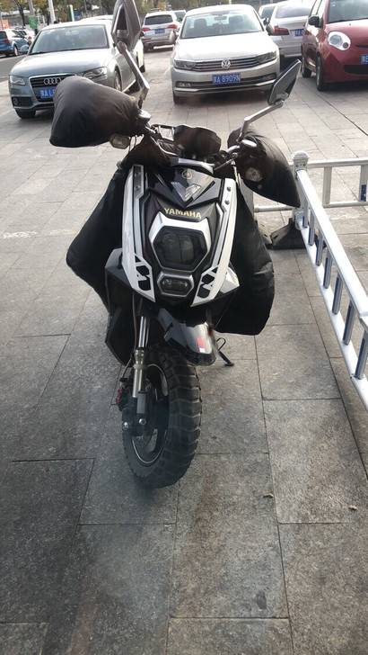 新大洲本田 2000w电机 三档可调 原版...