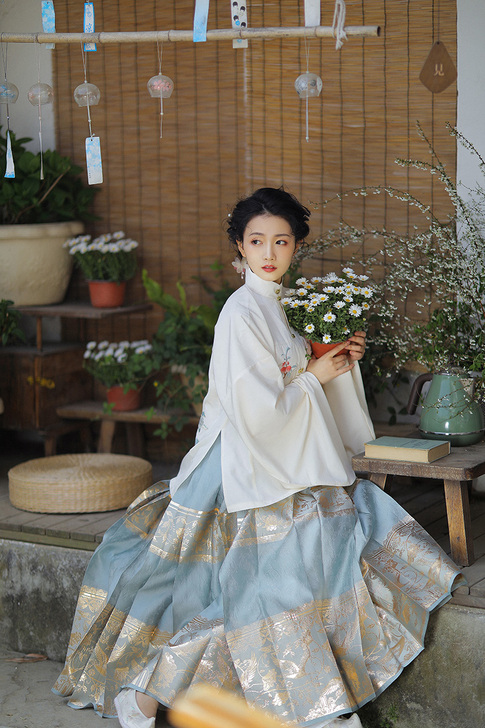 兰若庭 汉服 望水云鹤 明制 立领 补服 ...