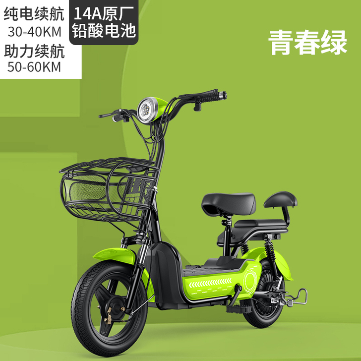 新国标品牌电动车锂电48V电瓶车自行车小型...