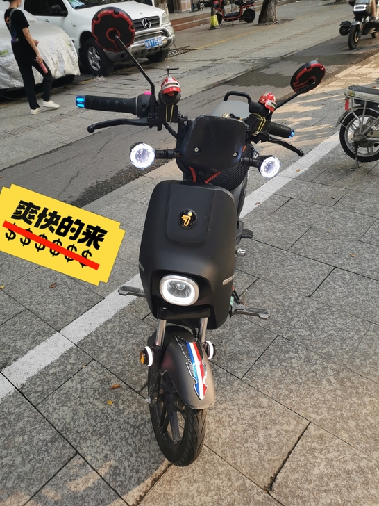 九号电动九号b110p 最强新国标   最...