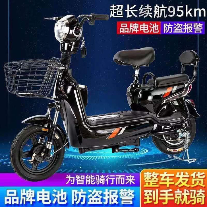 金丝猴电动车新款成人锂电池电瓶车双人男女助...