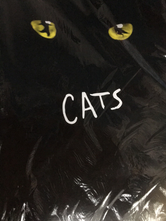 音乐剧 猫 CAT 场刊