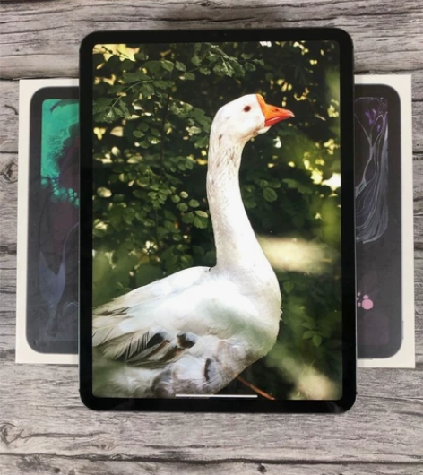 靓机iPad Air4代 (2020款...