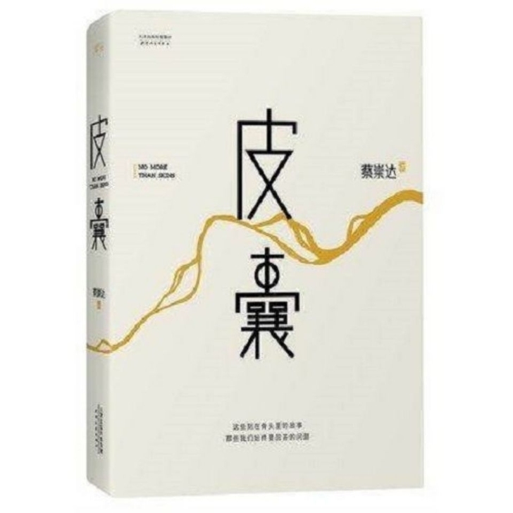 热销(皮囊) 中国当代文学读物 全新