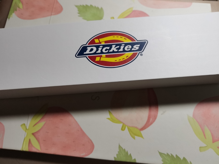 dickies手表，黑色