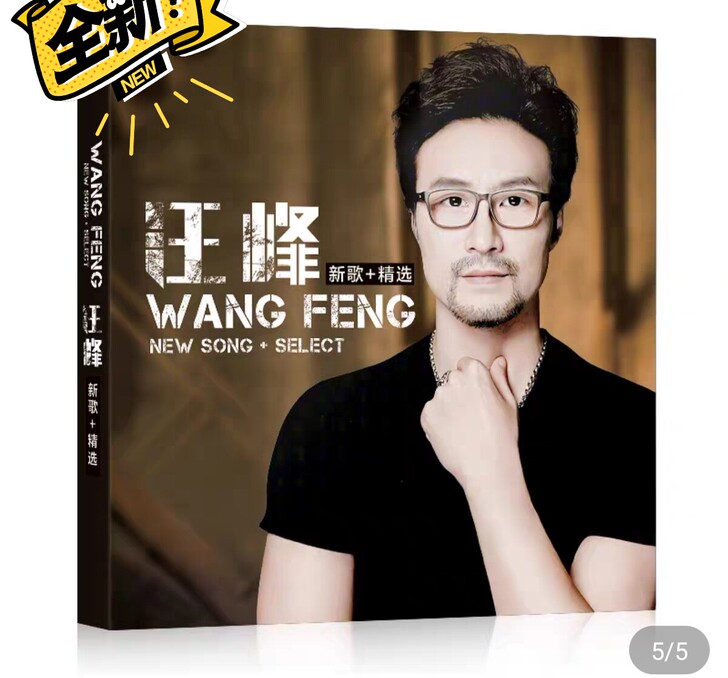 16元汪峰cd唱片正版专辑流行摇滚歌曲无损...