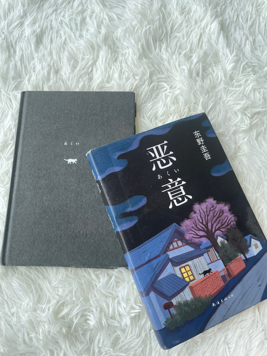 29.9两本 《恶意》 书籍 新旧程度 六...