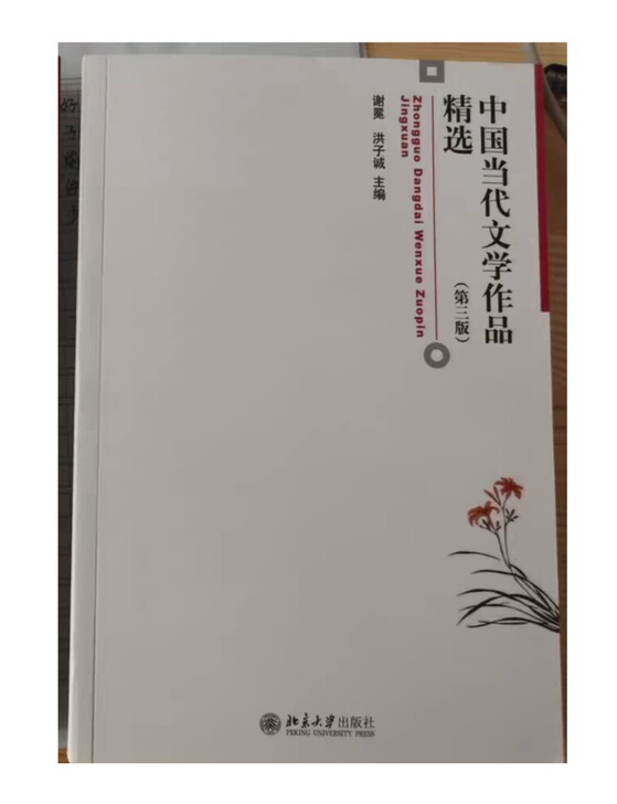 中国当代文学作品精选 第三版 谢冕 洪子城...