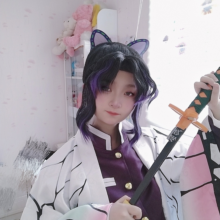 【蝴蝶忍大全套450r】名家全新只在家里试...