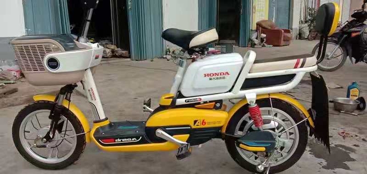 新大洲本田A6电动车，48V12A电池##...